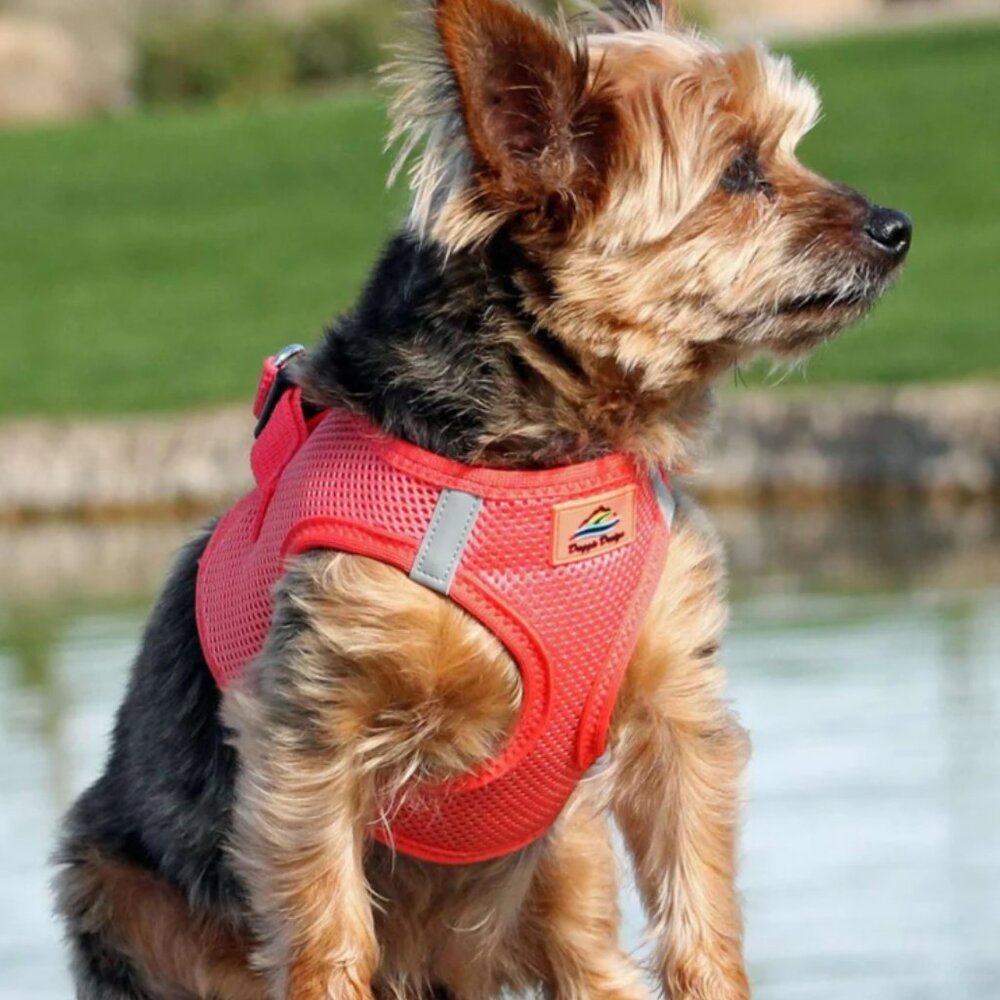 NWT DOGGIE DESIGN AMERICAN RIVER CHOKE FREE Dog HARNESS CORAL PINK ORANGE 2XL